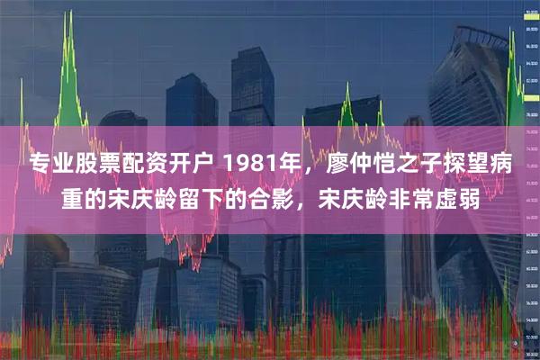 专业股票配资开户 1981年，廖仲恺之子探望病重的宋庆龄留下的合影，宋庆龄非常虚弱
