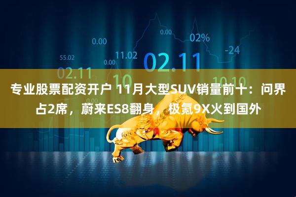 专业股票配资开户 11月大型SUV销量前十：问界占2席，蔚来ES8翻身，极氪9X火到国外