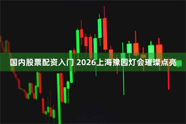 国内股票配资入门 2026上海豫园灯会璀璨点亮